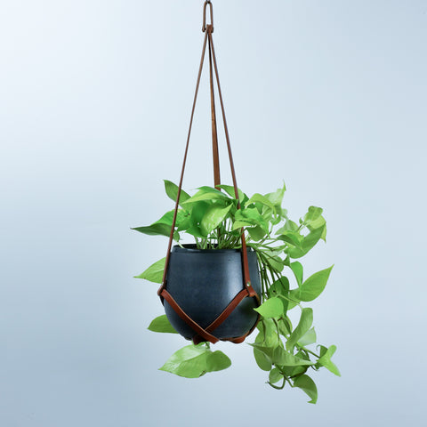 Tan Leather Plant Hanger