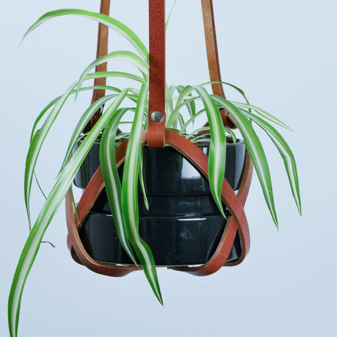 Tan Leather Plant Hanger