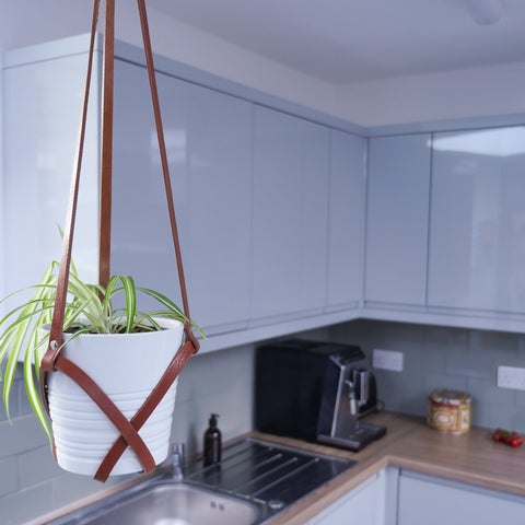 Tan Leather Plant Hanger